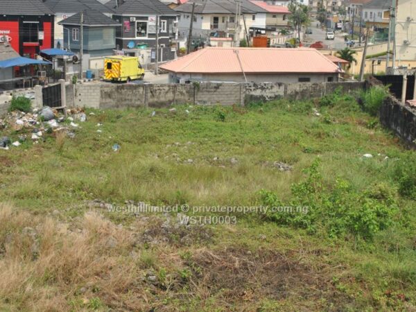 Plots of Land for sale at Ibeju Lekki, Lagos - Image 2